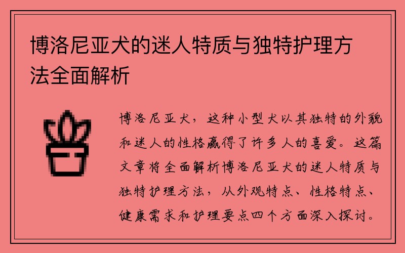 博洛尼亚犬的迷人特质与独特护理方法全面解析