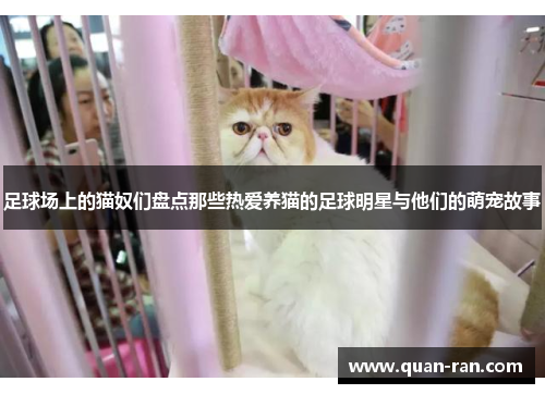 足球场上的猫奴们盘点那些热爱养猫的足球明星与他们的萌宠故事